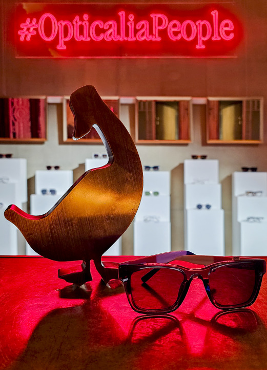 Revista GQ - El Ganso x Opticalia