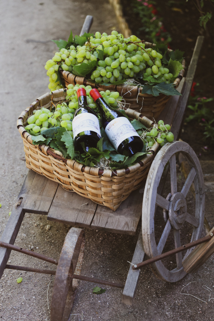 Presentación "Tierra de Mujeres"