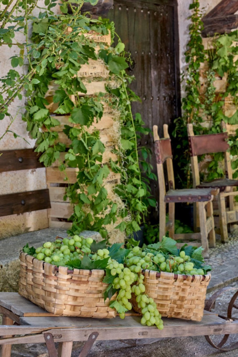 Presentación "Tierra de Mujeres"